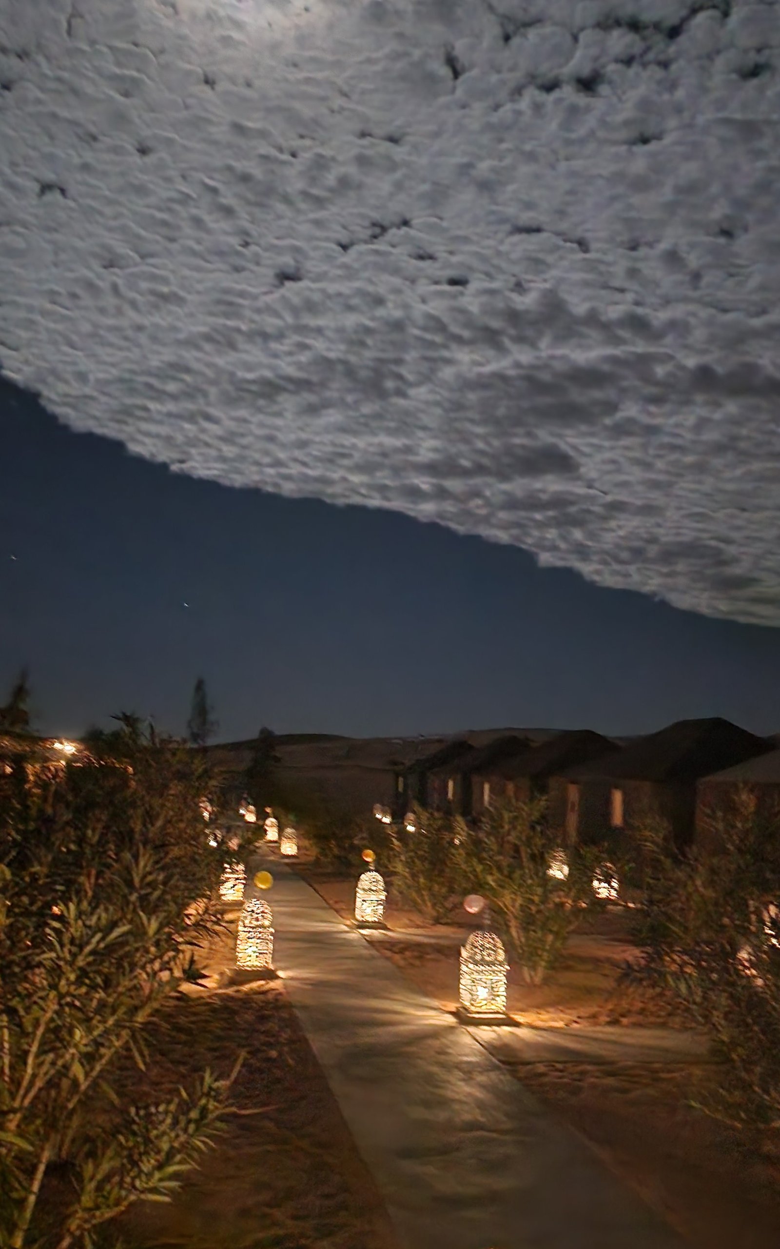 New Year Under the Stars: Music, Campfire, and Berber Traditions