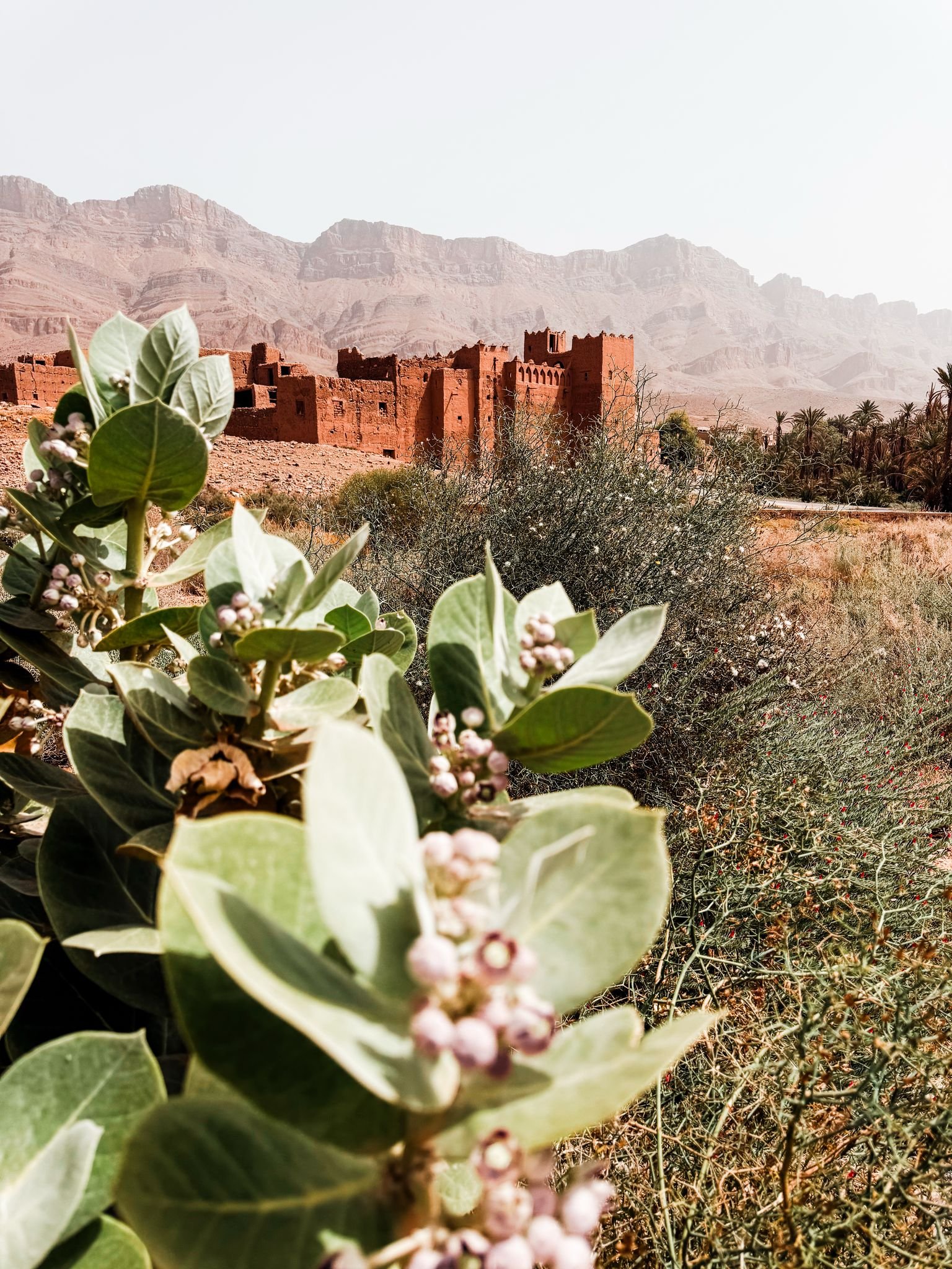 val&eacute;e des roses