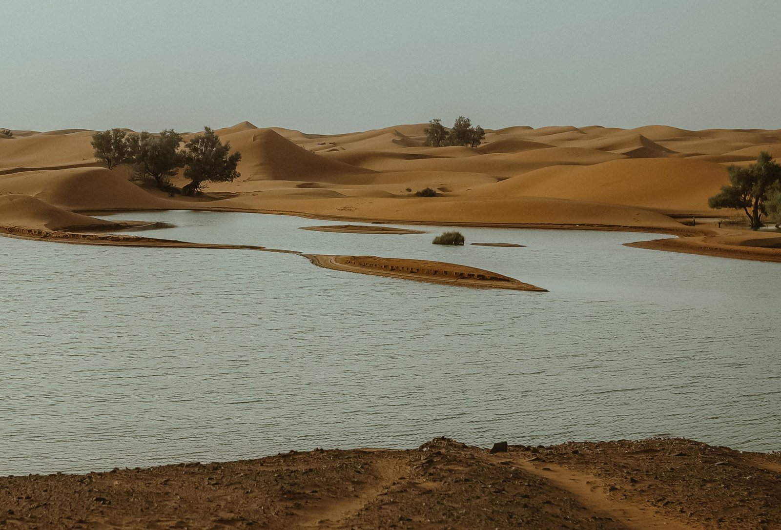 sahara marocaine