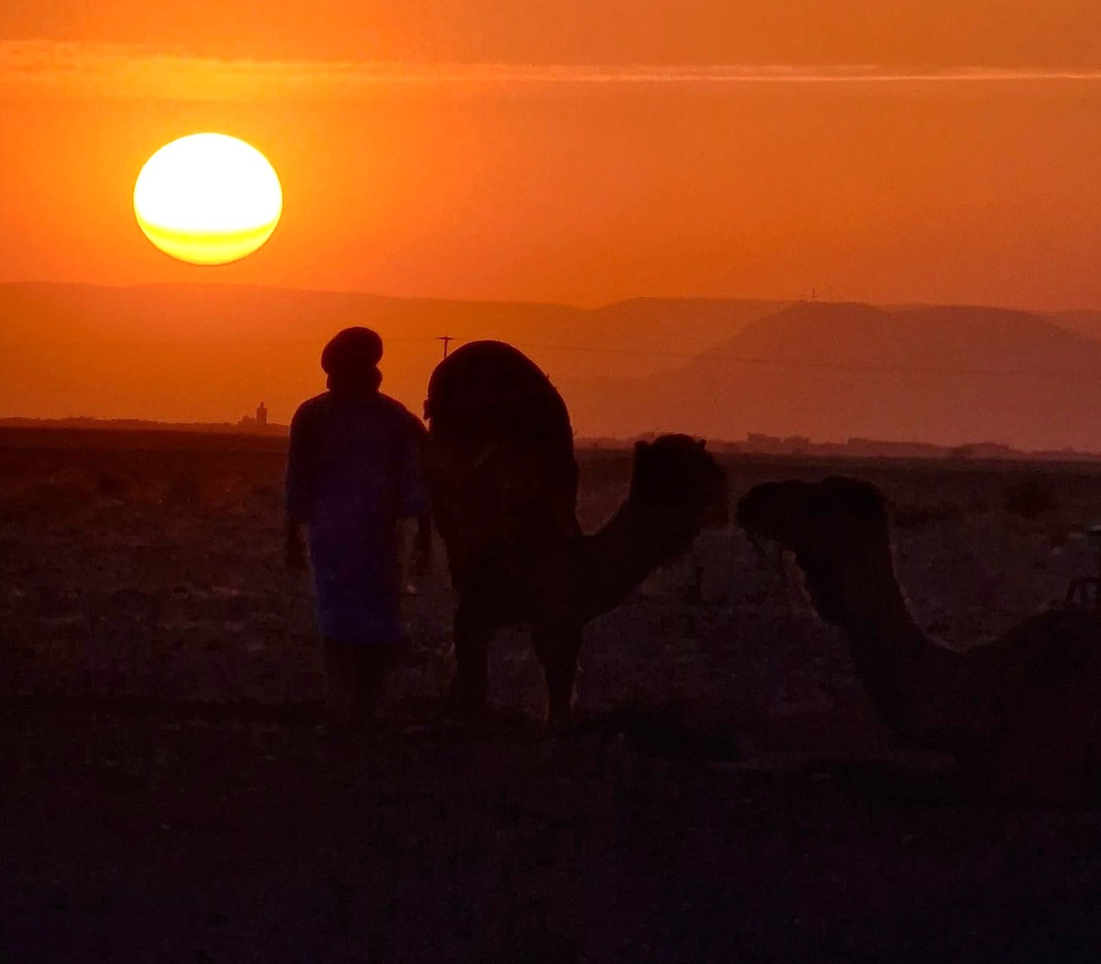 Balade en dromadaire au coucher de soleil