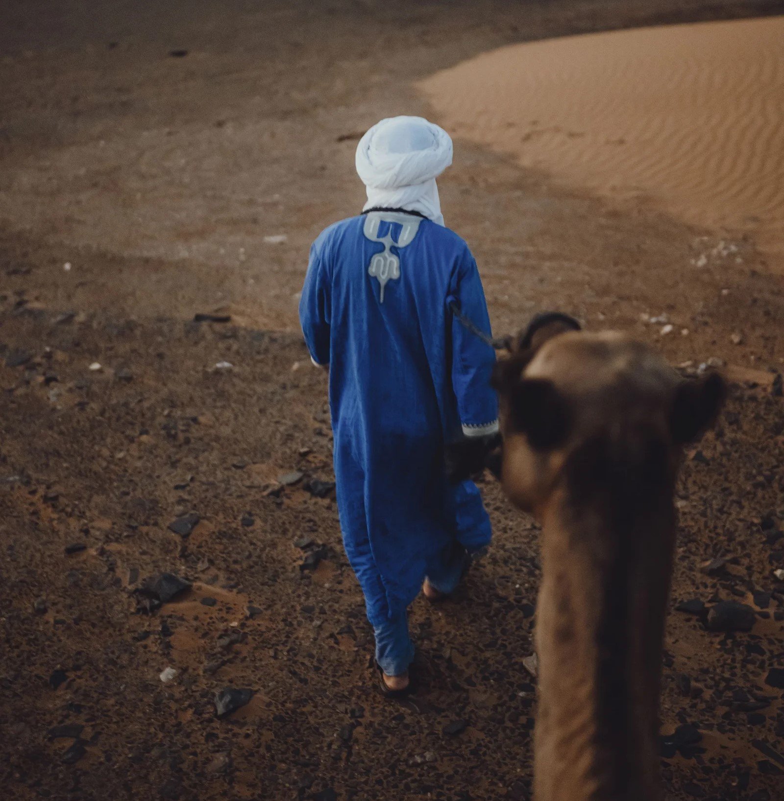 Balade en dromadaire avec guide Balade en dromadaire avec guide